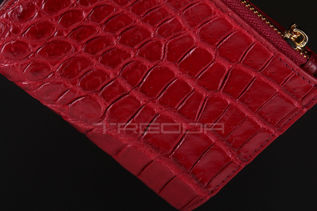 Кошелек из кожи крокодила